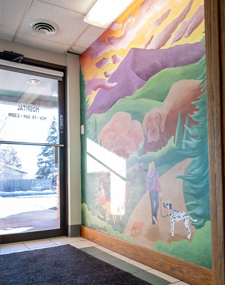 artistic mural at Fillmore Veterinary Hospital entrance