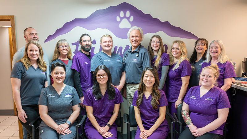 fillmore veterinary hospital team