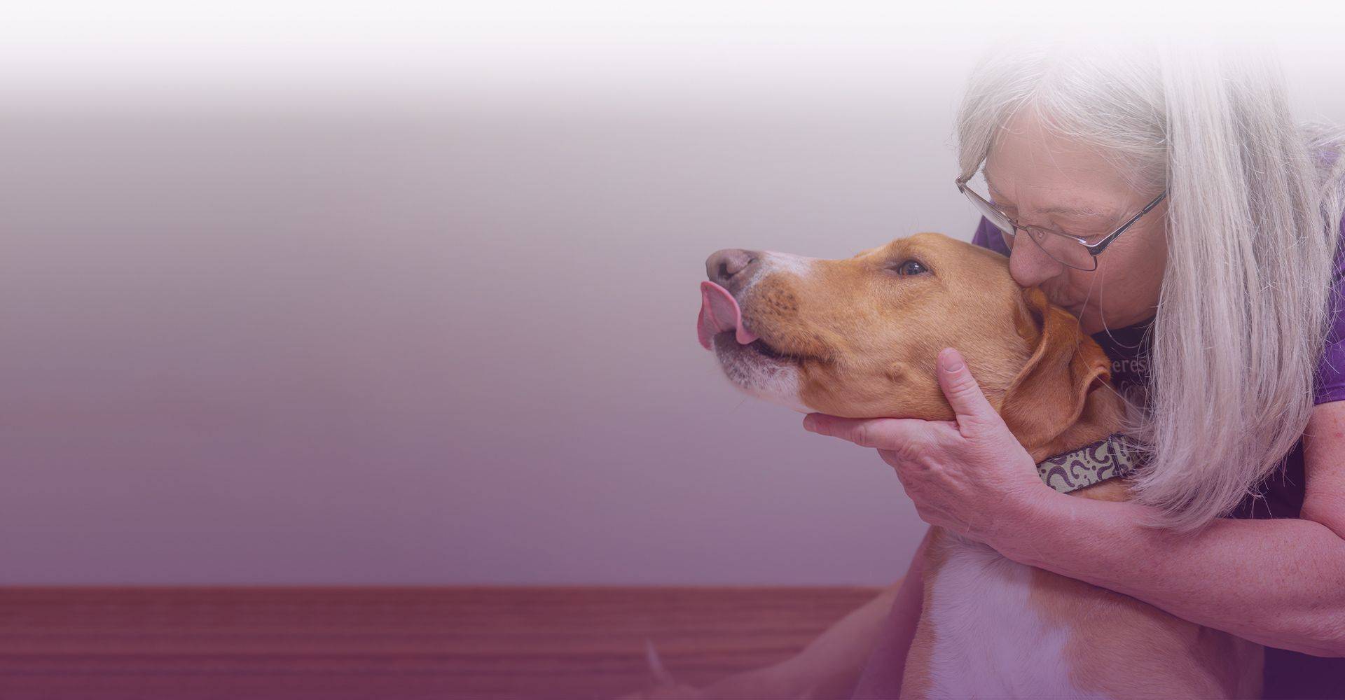 samoyed dog at mountains